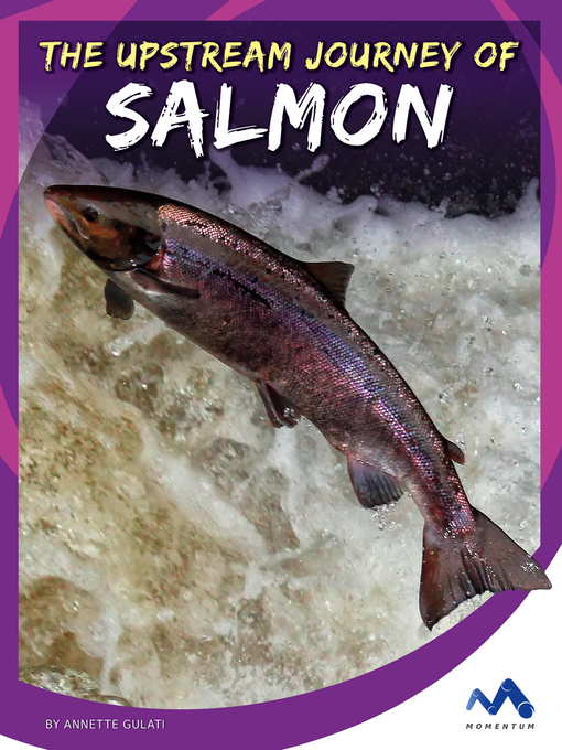 Upplýsingar um The Upstream Journey of Salmon eftir Annette Gulati - Biðlisti